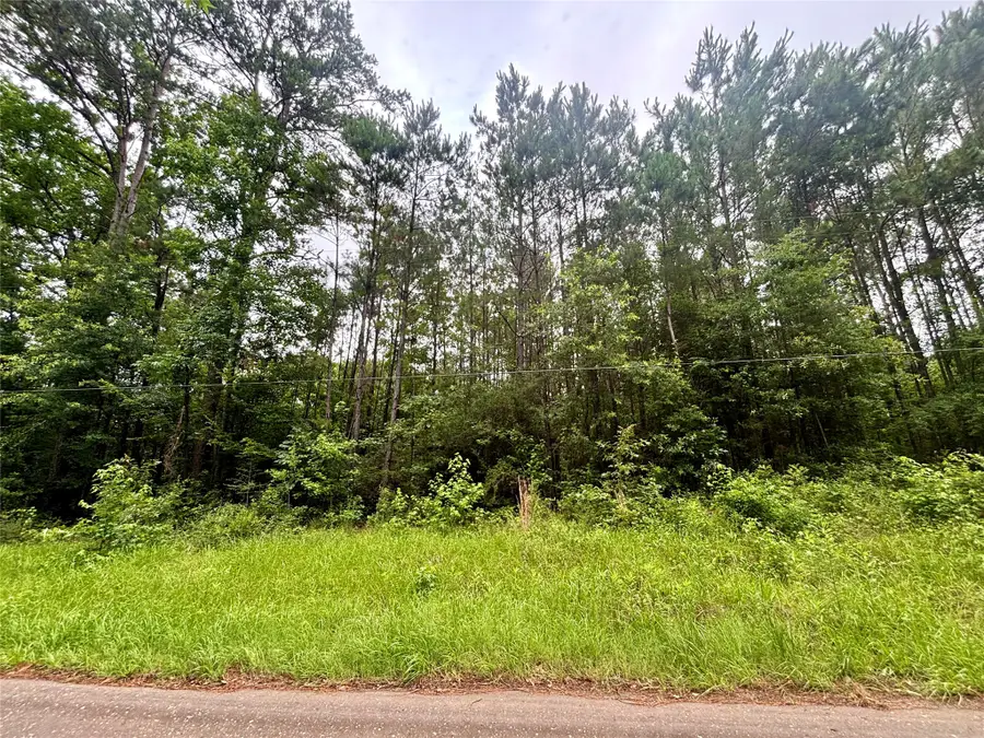 TBD County Road 2780, Colmesneil, TX 75938 - #2