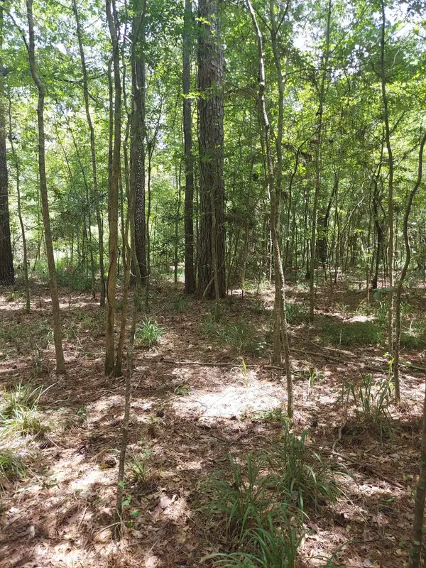 306 Deason Circle, Colmesneil, TX 75938