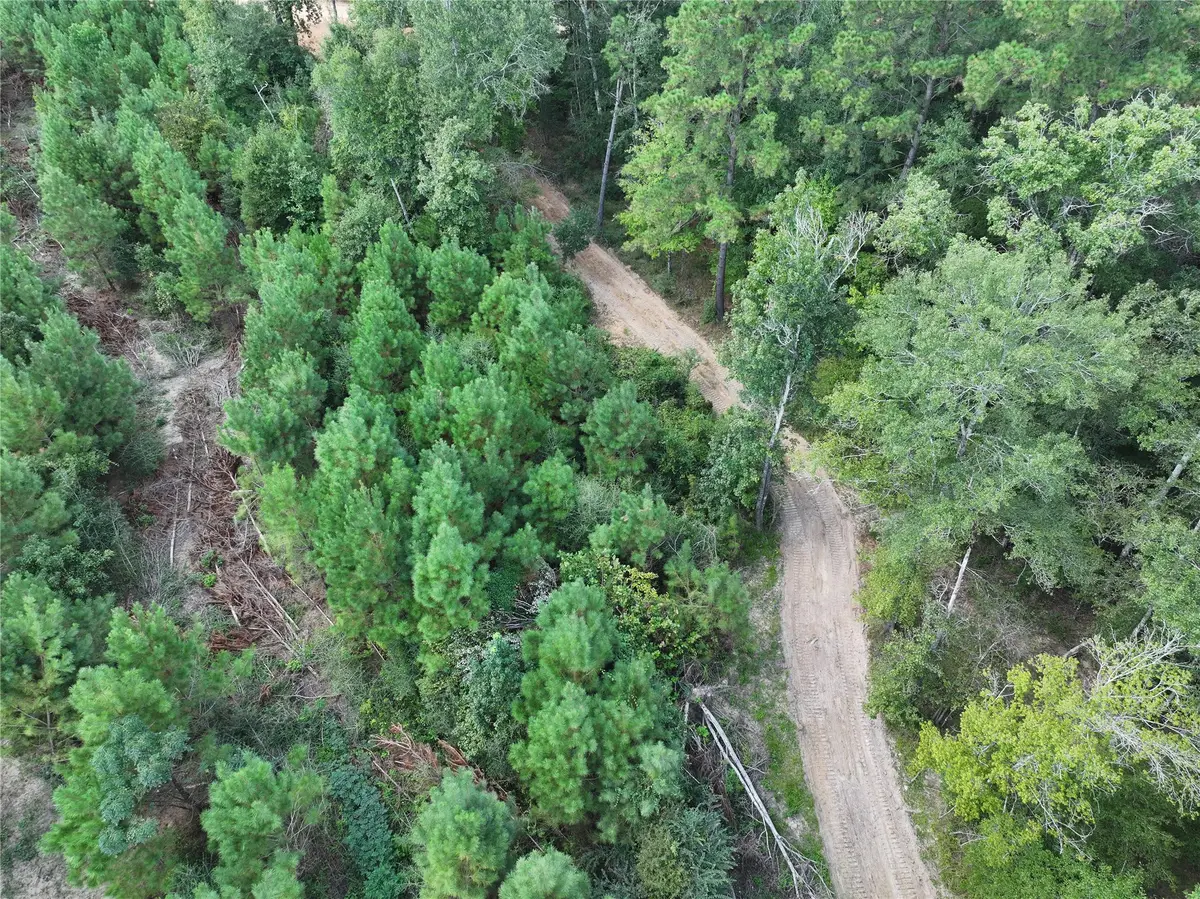 02 Bracewell Cemetery Road, Livingston, TX 77351 - #1