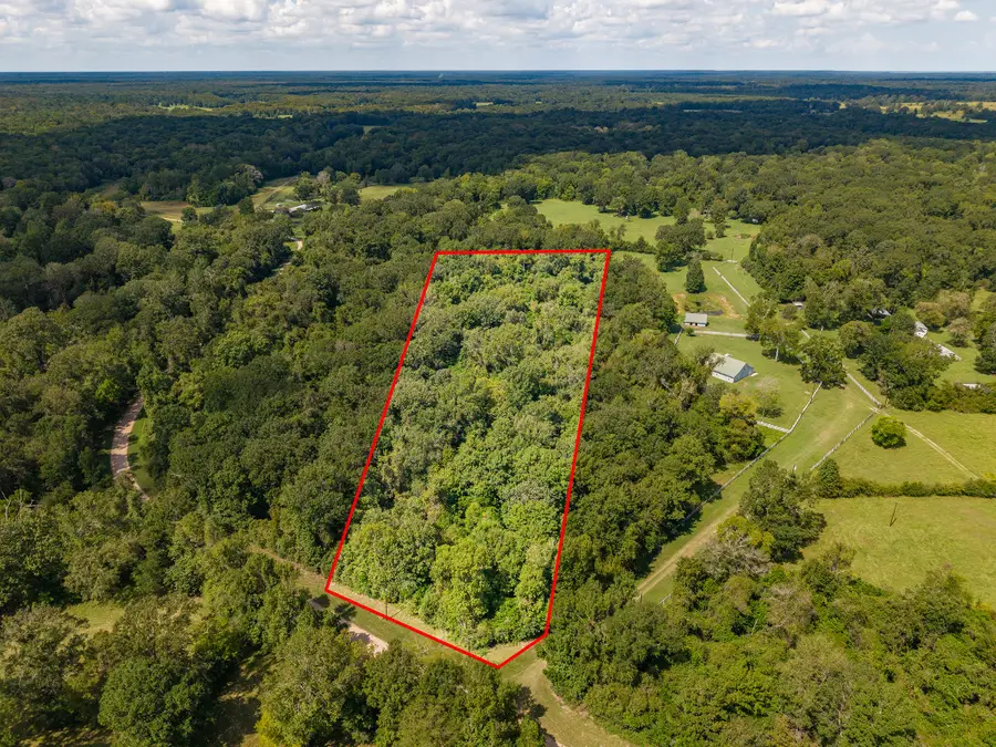TBD Winding Creek Drive, Shepherd, TX 77371 - #3