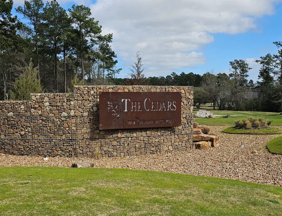 9164 Cedar Bend, Plantersville, TX 77363 - #3