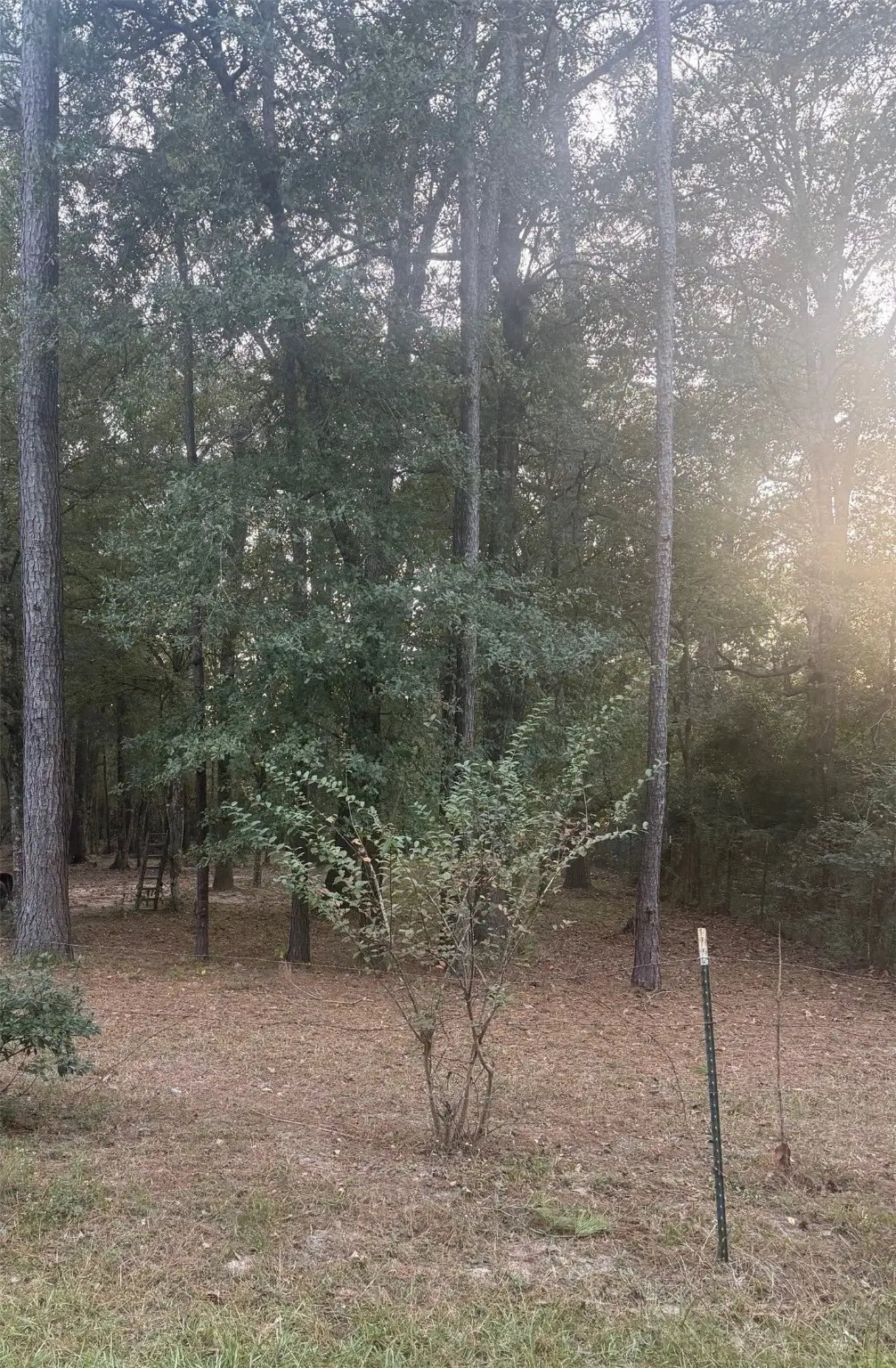 19008 Nottingham Lane, New Caney, TX 77357 - Image #1