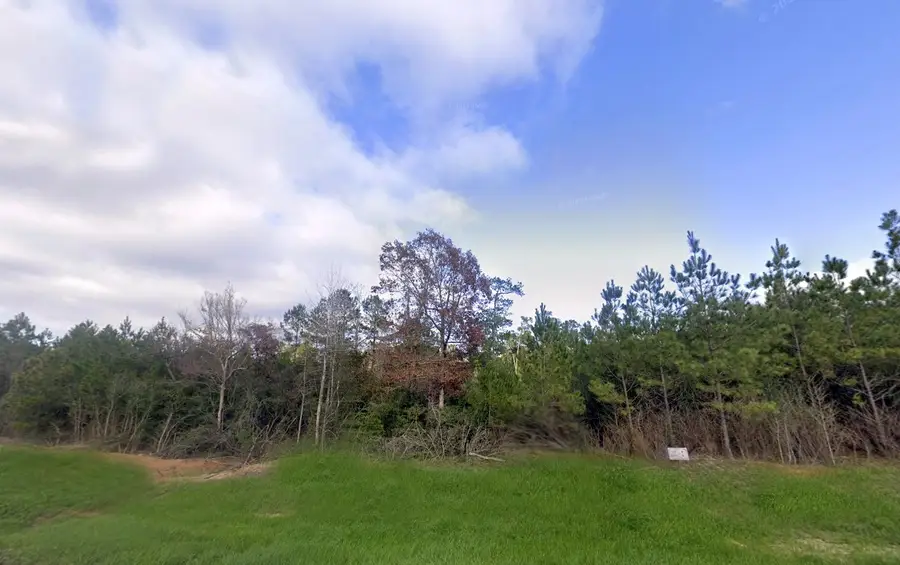 16018 Wood Grove Way, Willis, TX 77378 - #3