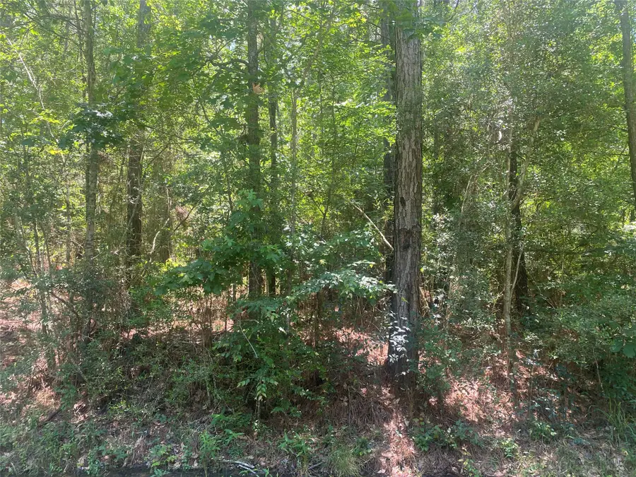 6934 County Road 2252, Cleveland, TX 77327 - #2