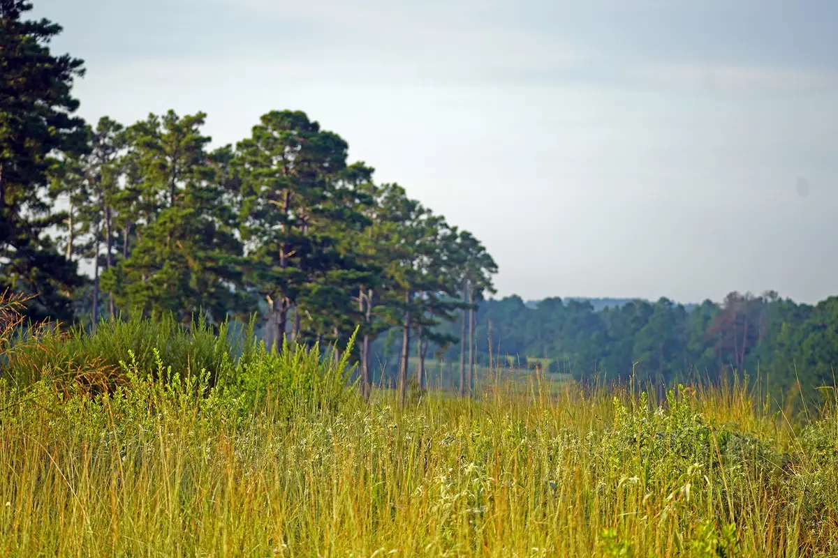 8301 State Highway 7 Highway E, Centerville, TX 75833 - #1