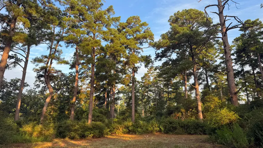 8301 State Highway 7 Highway E, Centerville, TX 75833 - #2