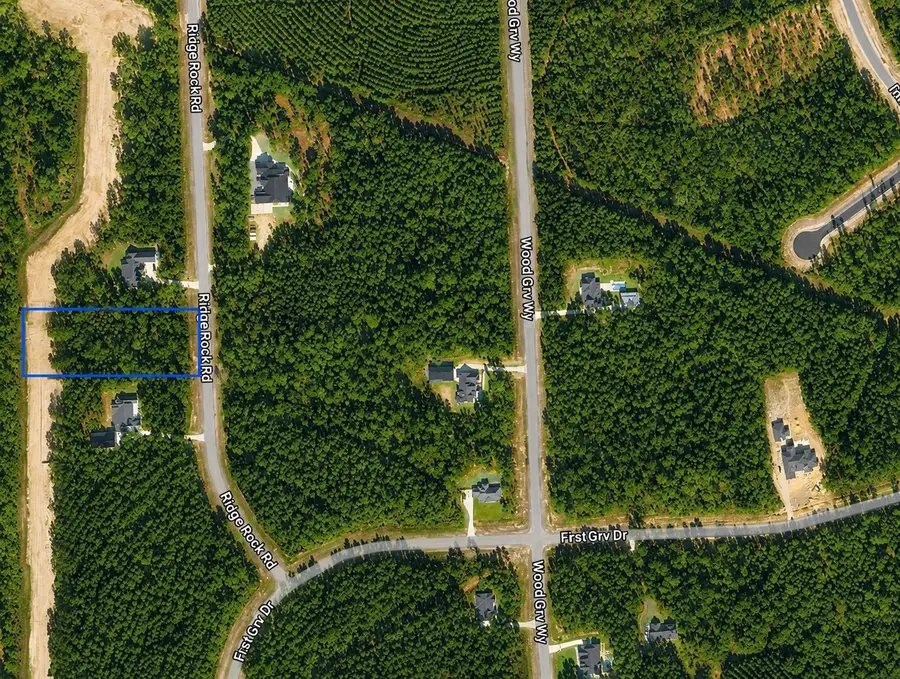 15633 Ridge Rock Road, Willis, TX 77378 - #3