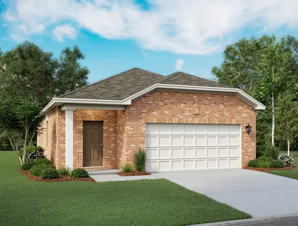 10212 California Lily Lane, Houston, TX 77016