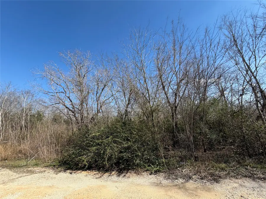 0 Navarre, Pearland, TX 77584 - Image #3