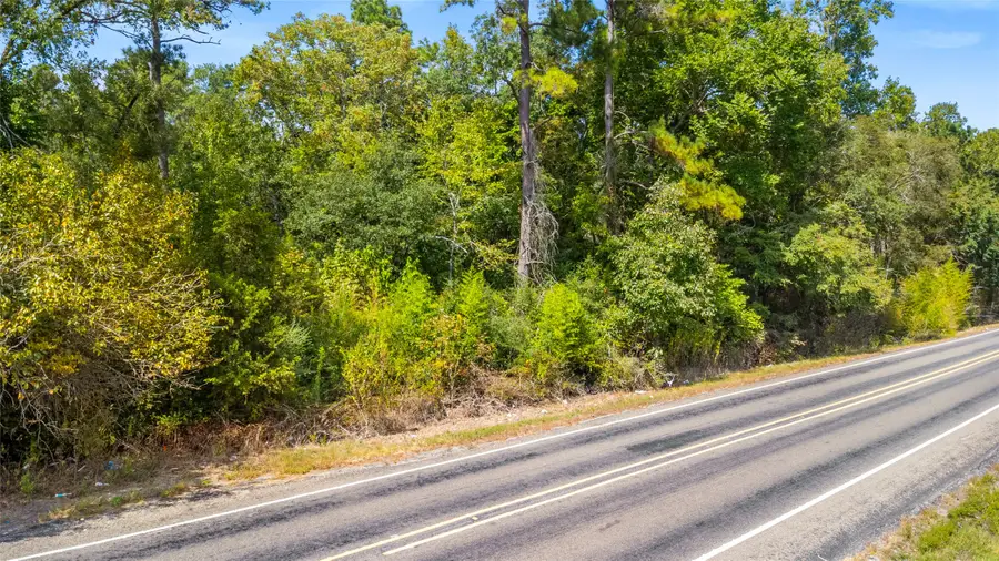TBD Fm-980, Huntsville, TX 77320 - Image #3