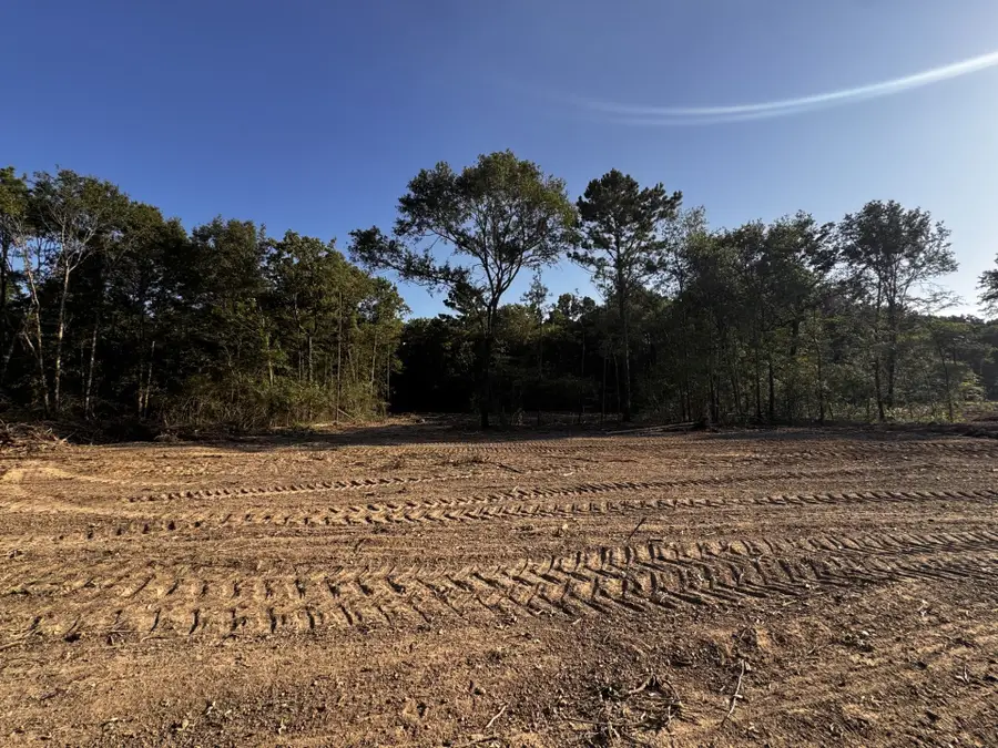 TBD Stillwater Cove Drive, Montgomery, TX 77356 - #2
