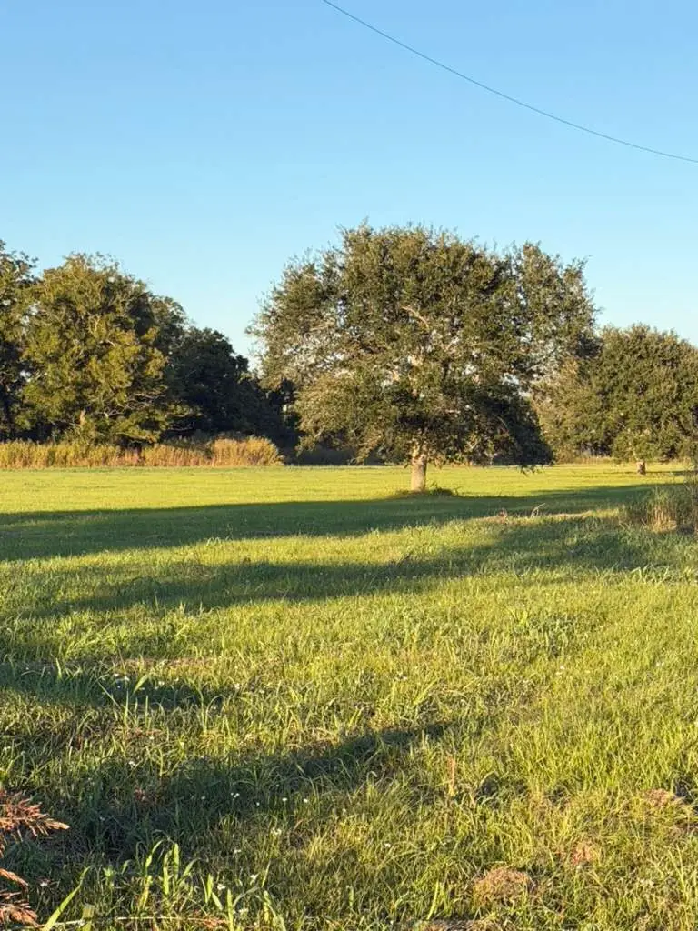 16318 Deerhaven Run, Rosharon, TX 77583 - #3