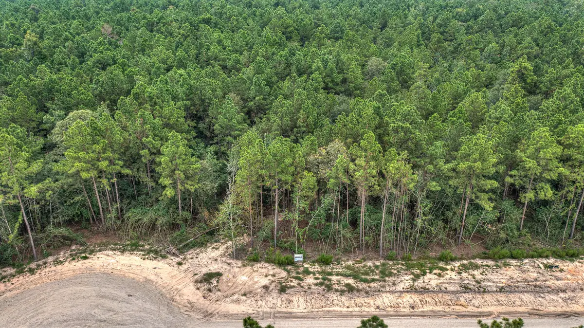 25011 Balmorhea Way, Montgomery, TX 77316 - #1