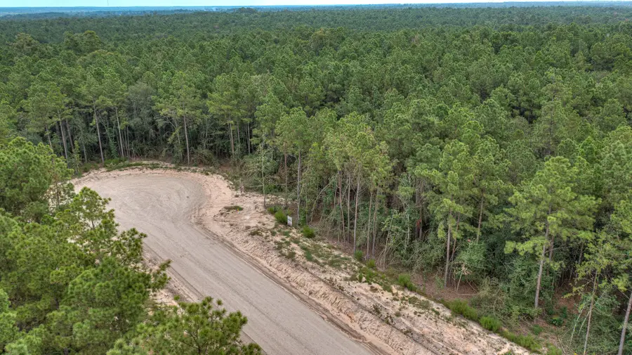 25011 Balmorhea Way, Montgomery, TX 77316 - #2