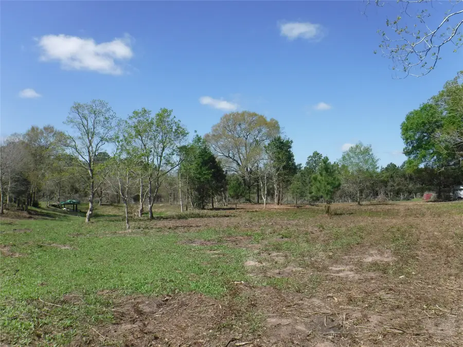 1350 Peters San Felipe Road, Sealy, TX 77474 - #2