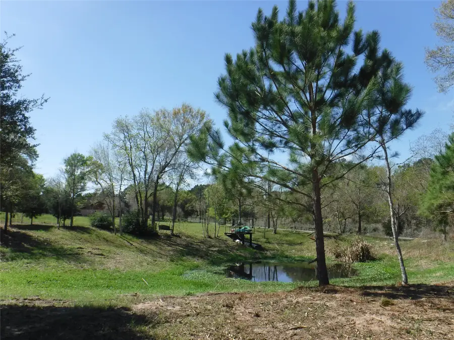 1350 Peters San Felipe Road, Sealy, TX 77474 - #3