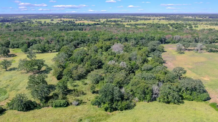 TBD Cr 227, Caldwell, TX 77836 - #3