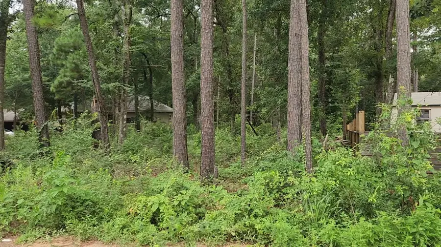 Lot 38 White Oak Drive, Plantersville, TX 77363 - #2