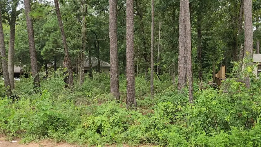 Lot 38 White Oak Drive, Plantersville, TX 77363 - #3