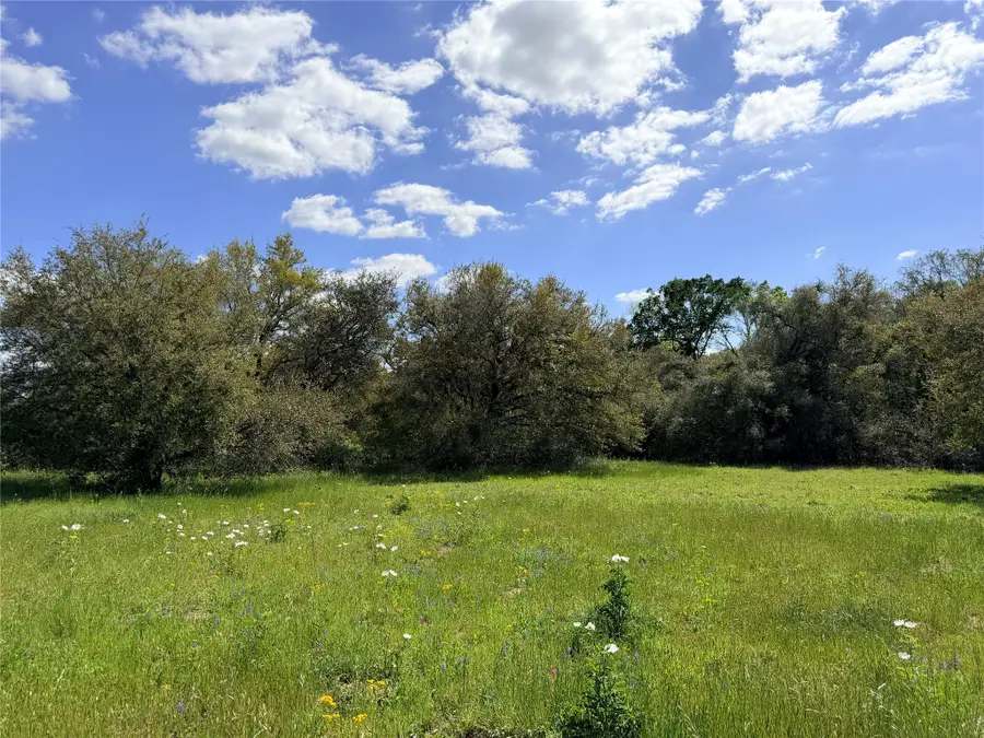 TBD Loose Cow Rd, Garwood, TX 77442 - #2