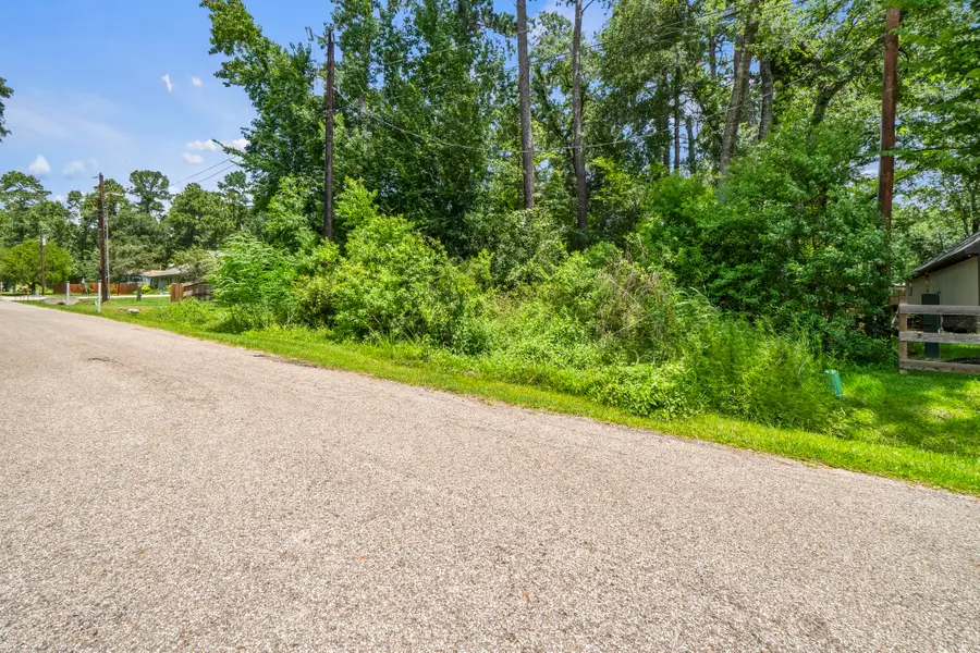 TBD Osage Drive, Montgomery, TX 77316 - #2