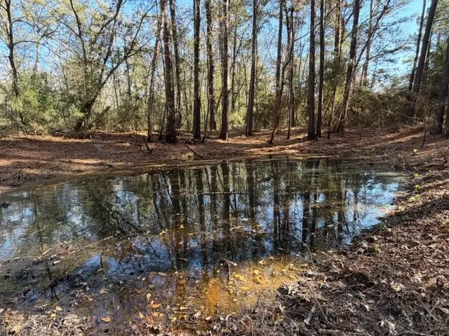 19 ac Pr 1429, Centerville, TX 75833 - Image #2