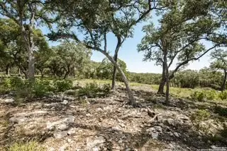 #3