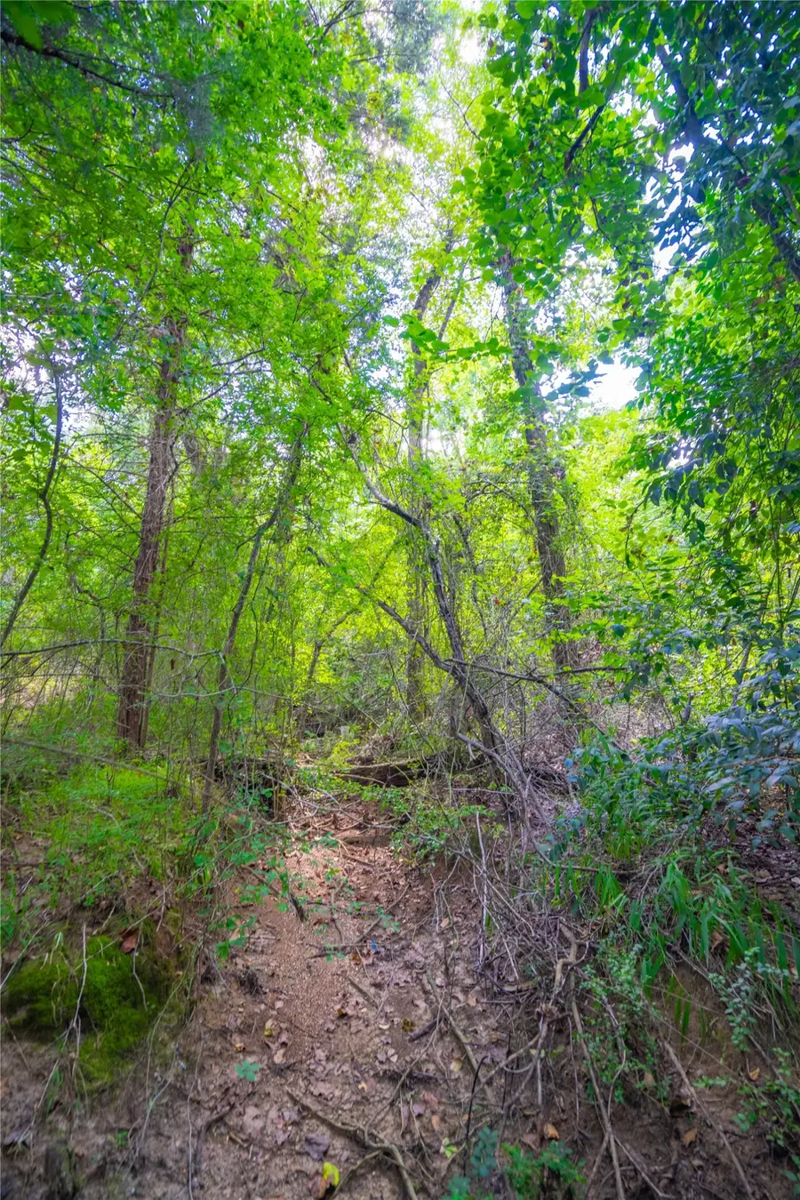 00 Lcr 258, Mexia, TX 76667 - #2