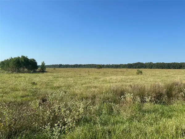 Lot 63 Minnie West Rd Drive, Hull, TX 77564
