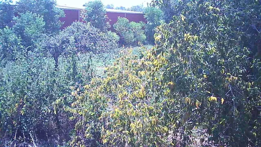 0 12th Street, Brookshire, TX 77423 - Image #3