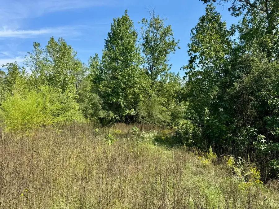 Tract 5 Private Road 8385, Hillister, TX 77660 - #3