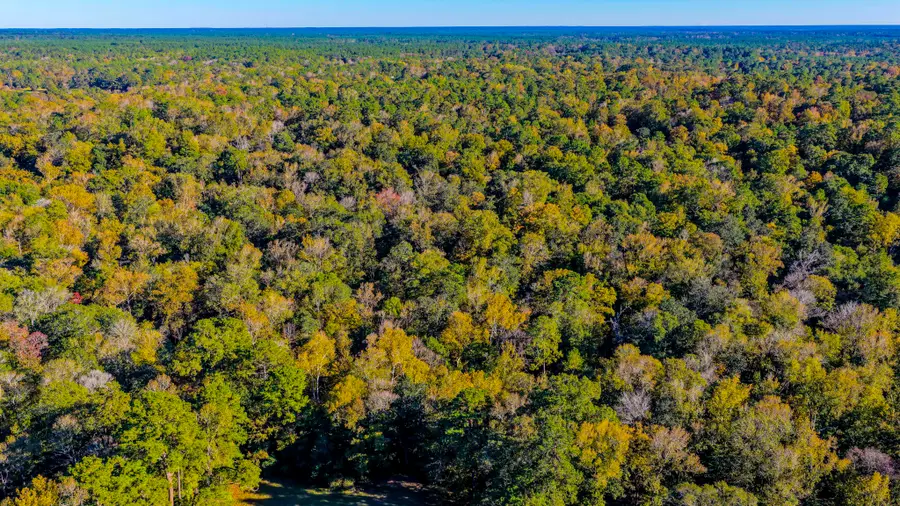 TBD Rolling Ridge Road, Goodrich, TX 77335 - Image #3