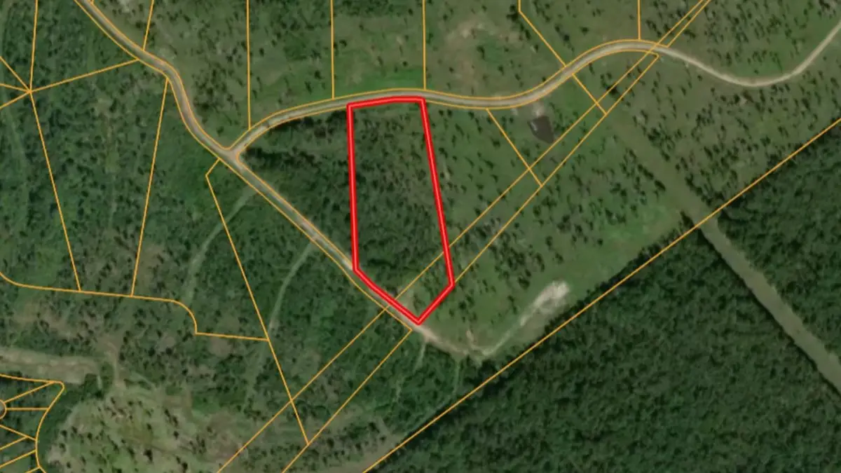 Lot 10 Eagle Falls Boulevard, Trinity, TX 75862 - #1