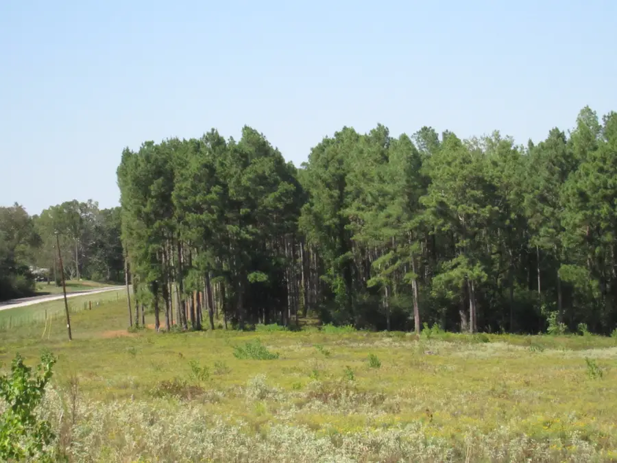 000 21 Fm256 N, Woodville, TX 75979 - #2