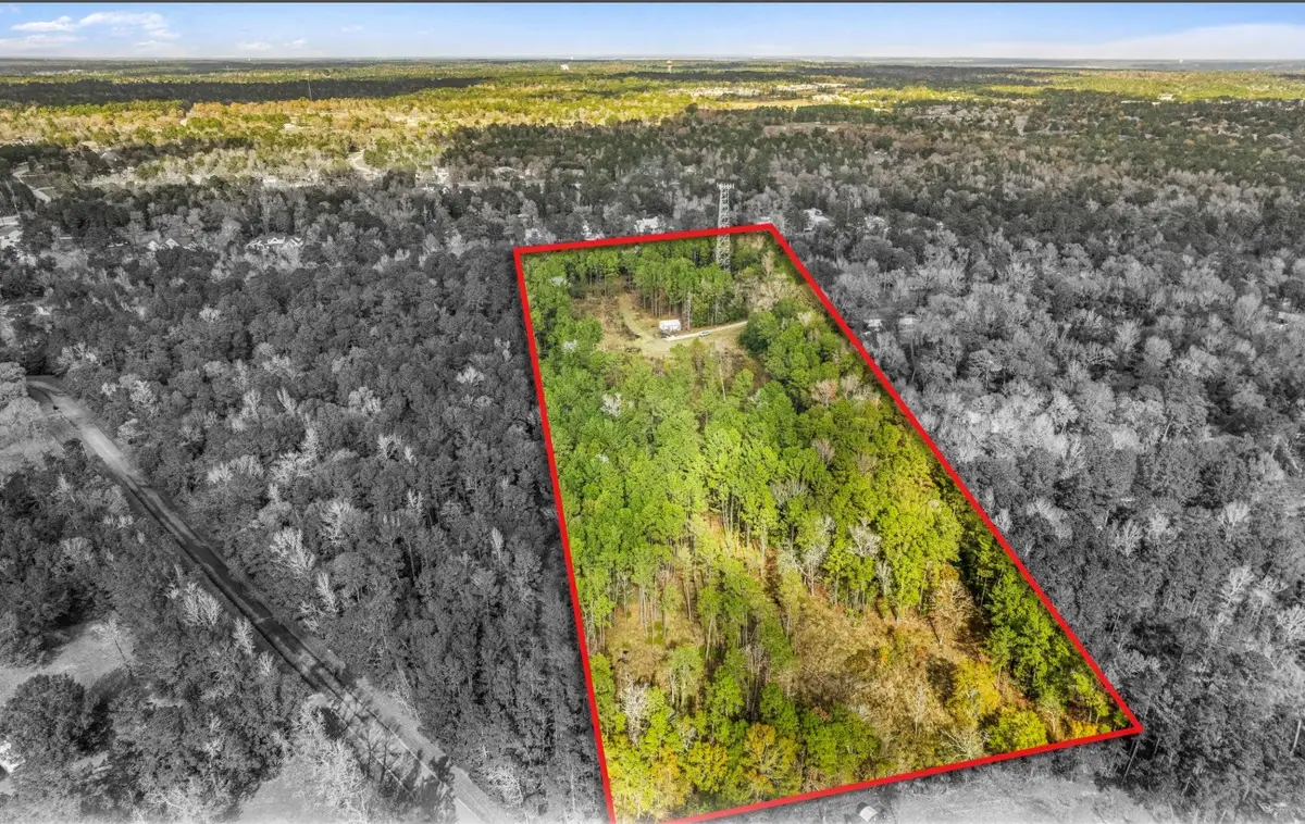 4325 Honea Egypt Rd, Montgomery, TX 77316 - Image #1