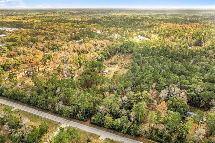 4325 Honea Egypt Rd, Montgomery, TX 77316 - Image #3