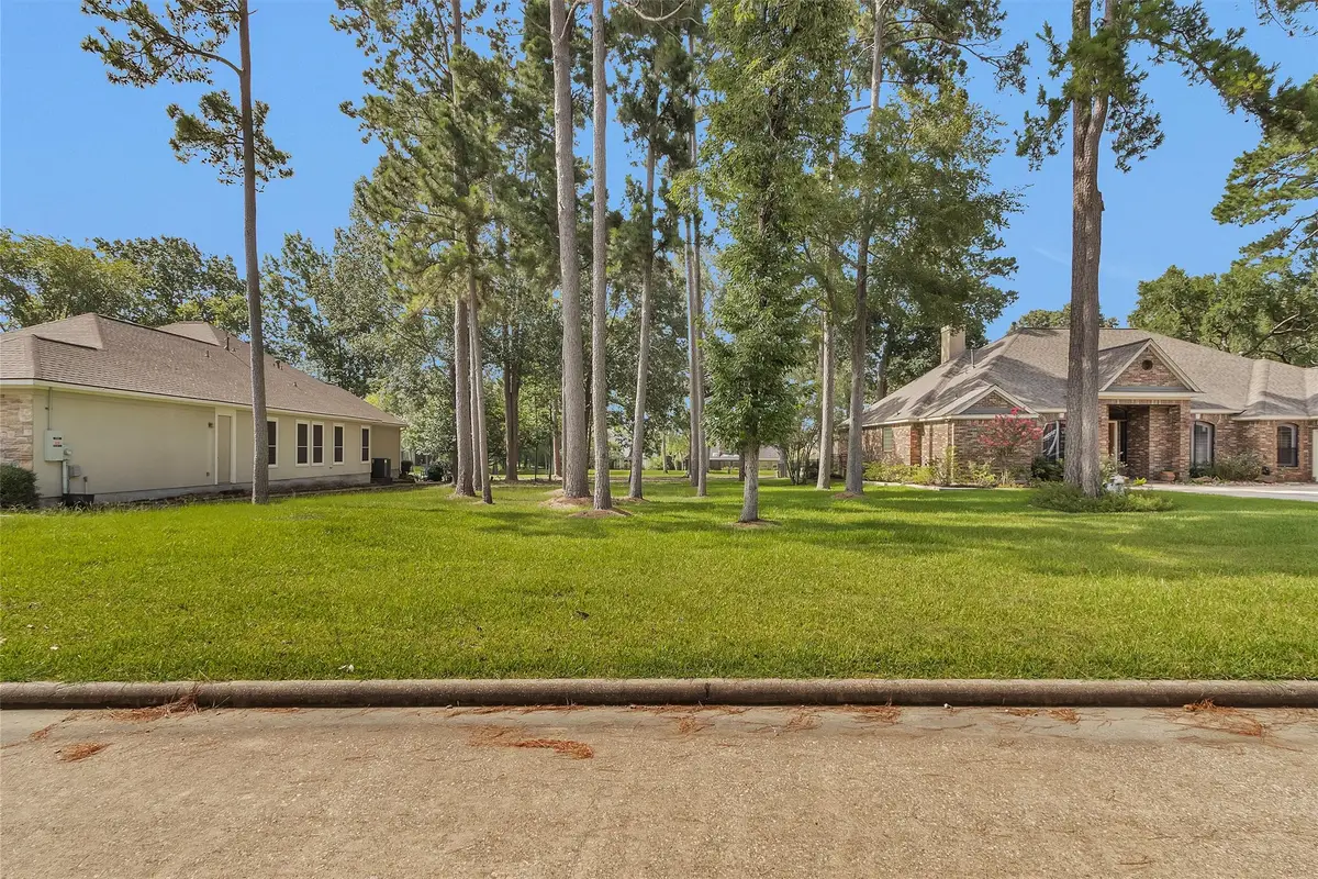 19 Grey Moss Lane, Montgomery, TX 77356 - #1