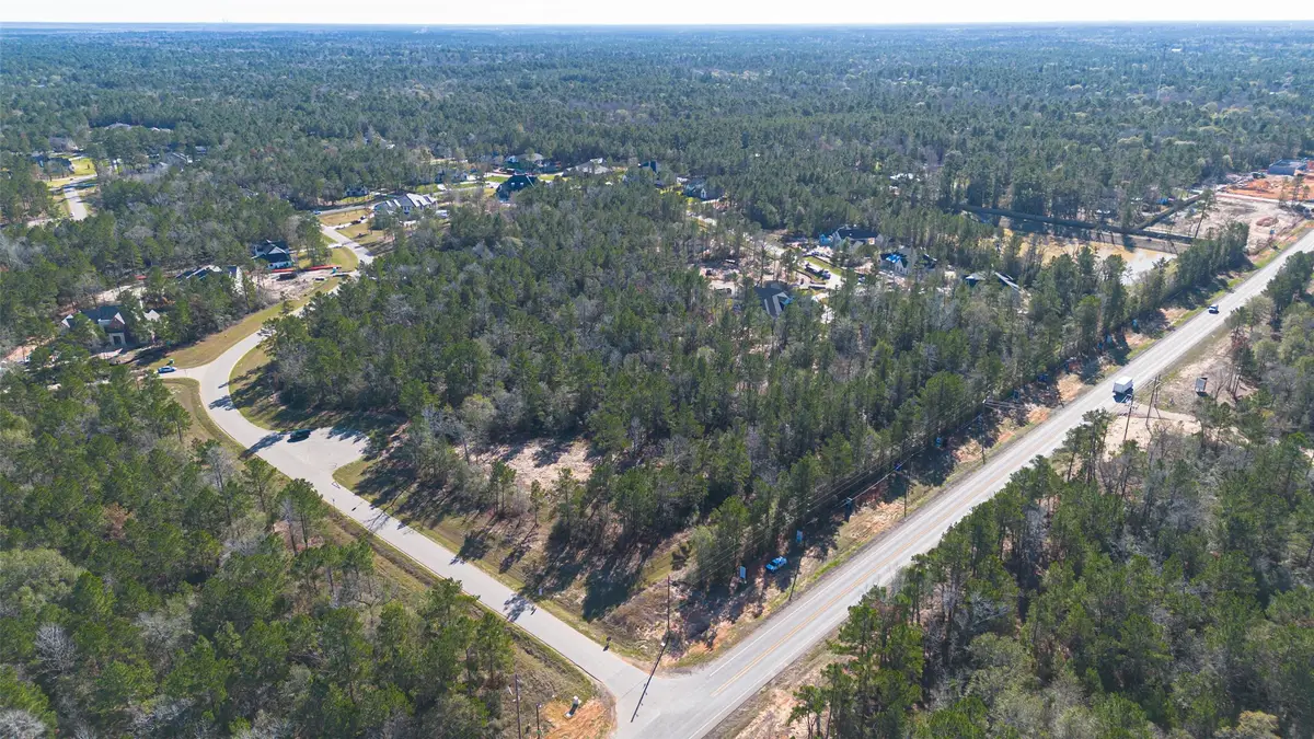 7629 Trinity Pines Drive, Montgomery, TX 77316 - #1