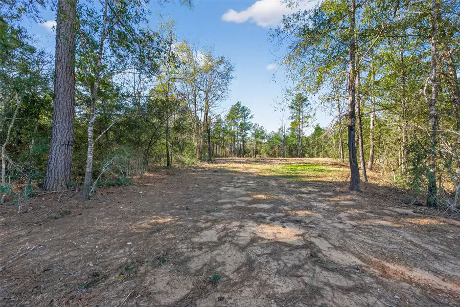 7629 Trinity Pines Drive, Montgomery, TX 77316 - #2