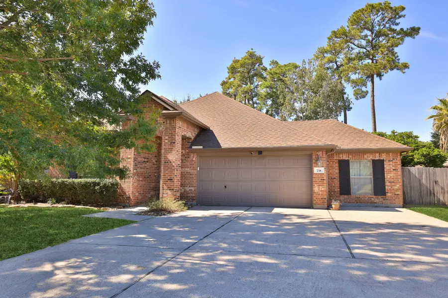 738 Oak Ridge Grove Circle, Spring, TX 77386 - #3