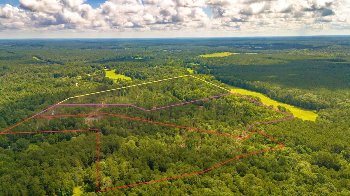 TBD Lot 001 Holland Road, Moscow, TX 75960 - #1