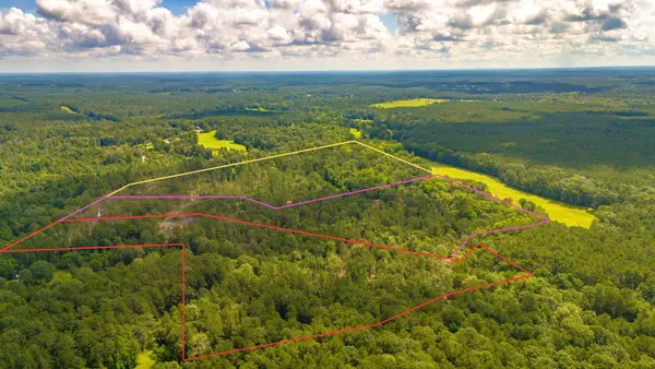 TBD Lot 001 Holland Road, Moscow, TX 75960
