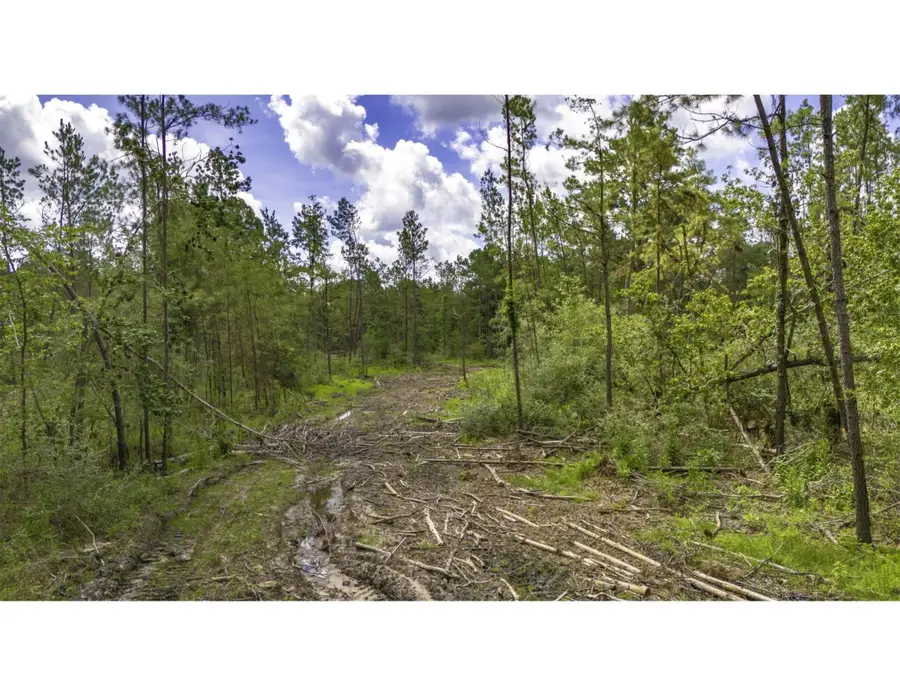 TBD Lot 001 Holland Road, Moscow, TX 75960 - #2
