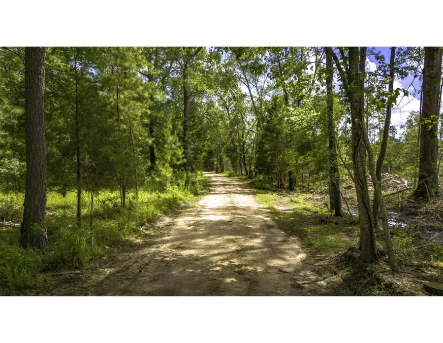 TBD Lot 001 Holland Road, Moscow, TX 75960 - #3