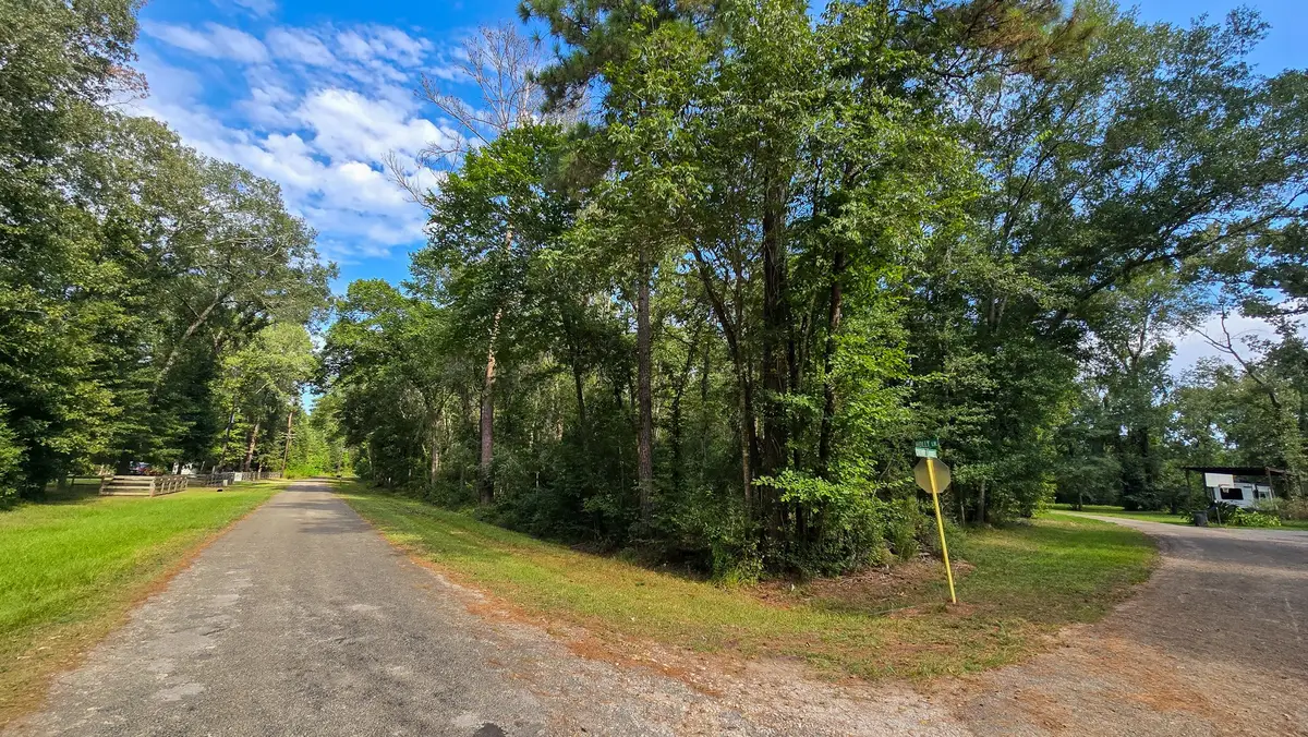 1 Cherry Laurel Ln, New Caney, TX 77357 - Image #1