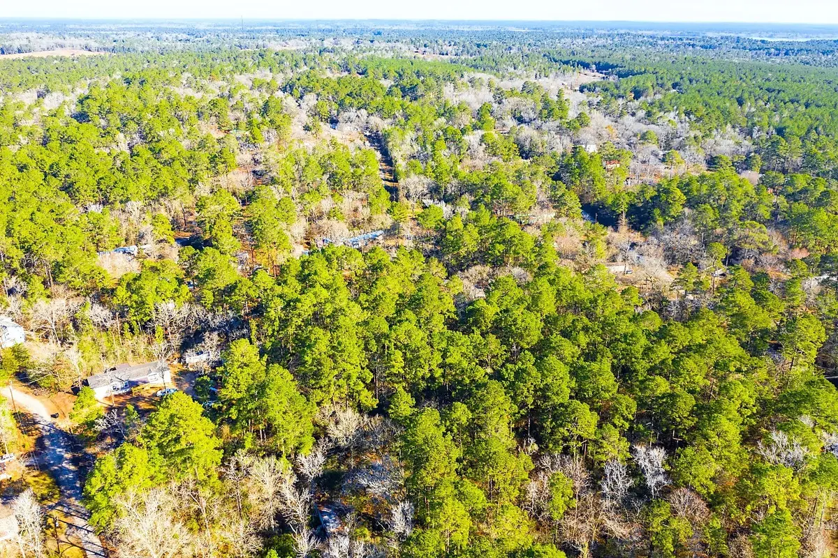 Lot 30 Cedar Court, Trinity, TX 75862 - #1