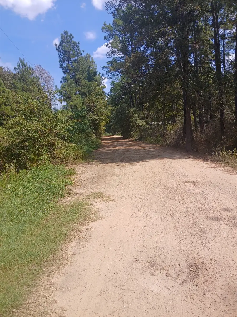 7883 Hoptree Lane, Plantersville, TX 77363 - #2
