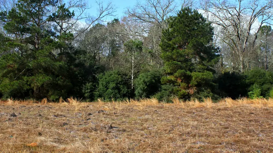 TBD La Petite Court, Trinity, TX 75862 - Image #2