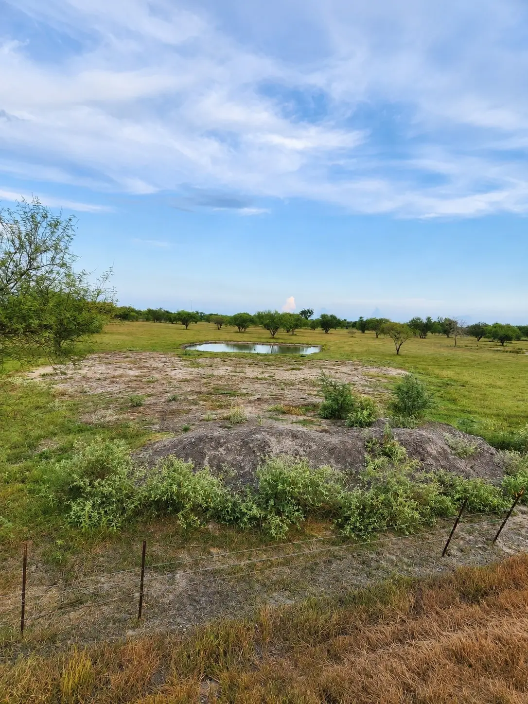 13520 Moody Road, Needville, TX 77461 - #1