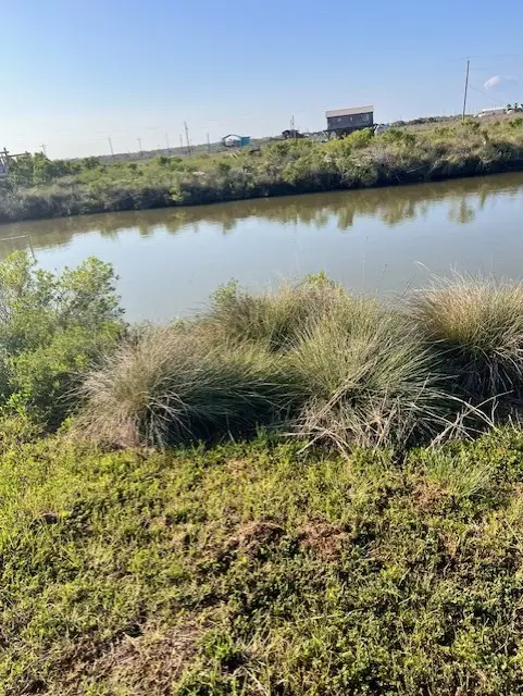 280 Seaview Street, Sargent, TX 77414 - #3